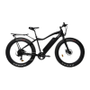 Bicycle Logo
