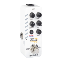 Preview: Mooer Micro Series