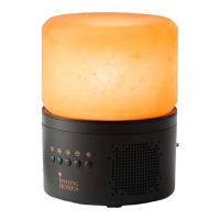 Preview: Inviting Homes Salt Lamp