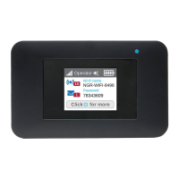 Preview: NETGEAR AirCard 797