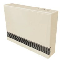 Preview: Rinnai EX38CT RHFE-1005FTA2