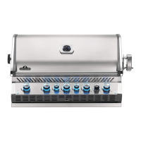 Preview: Napoleon BIPRO665-3