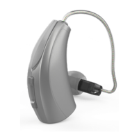 Preview: Starkey Livio R