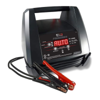 Preview: Schumacher Pro Series