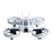 Preview: Blade Inductrix FPV HD