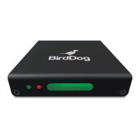 Preview: birddog MINI