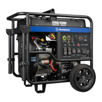 Preview: Westinghouse WGen12000