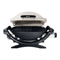Preview: Weber 120