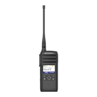 Preview: Motorola DTR600