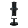 Microphone Logo