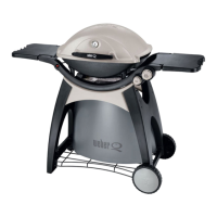 Preview: Weber Q100 Series