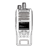 Preview: Kenwood NX-5300 F2