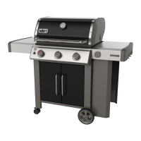 Preview: Weber Genesis II E-315