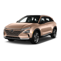 Preview: Hyundai NEXO 2019