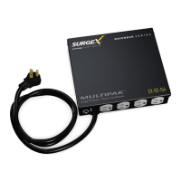 Preview: SurgeX Defender Series
