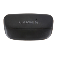 Preview: Garmin HRM2-SS