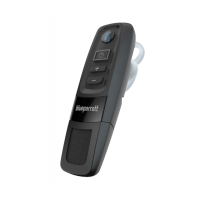 Preview: BlueParrott C300-XT