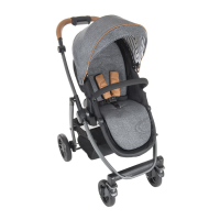 Preview: Graco EVO