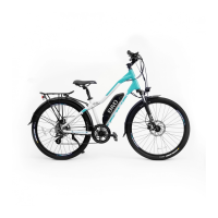 Preview: ENVO E-Bike