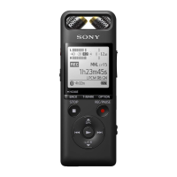 Preview: Sony PCM-A10