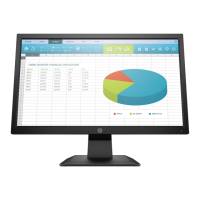 Preview: HP P204