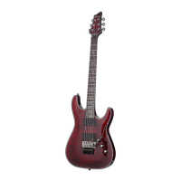 Preview: Schecter Hellraiser C-1