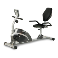 Preview: Exerpeutic 900XL