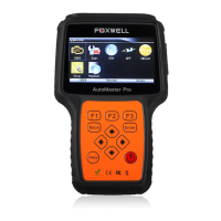 Preview: Foxwell AutoMaster Pro