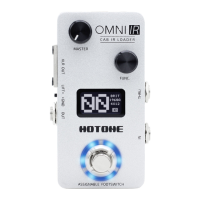 Preview: Hotone Omni IR