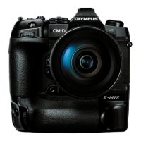Preview: Olympys OM-D E-M1X