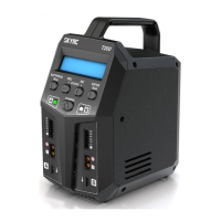 Preview: Skyrc T200