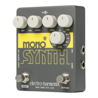 Preview: Electro-Harmonix Mono Synth