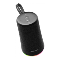 Preview: Soundcore Flare S+