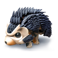 Preview: TUMBLING HEDGEHOG