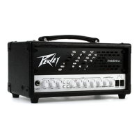 Preview: Peavey Invective MH