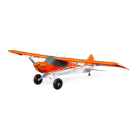 Preview: E-FLITE Carbon-Z Cub SS