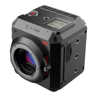 Preview: Z-CAM E2