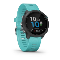 Preview: Garmin FORERUNNER 245