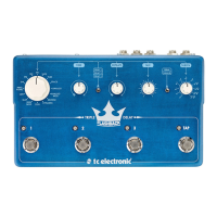 Preview: Flashback Triple Delay