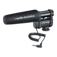 Preview: Audio Technica AT8024