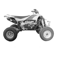 Preview: Can-Am DS 450 2008