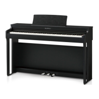 Preview: Kawai CN29