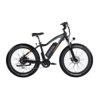 Preview: Rad Power Bikes RadRover