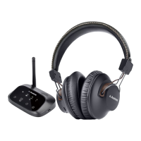 Preview: Avantree HT5009