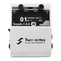 Preview: Two Notes Torpedo C.A.B. M