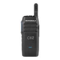 Preview: Motorola WAVE TLK 100