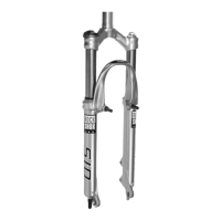 Preview: RockShox SID