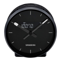 Preview: Sangean RCR-29