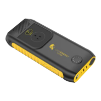 Preview: Lion Energy CUB GO