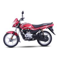 Preview: Bajaj Platina 100
